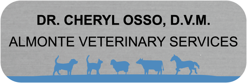 Magnetic custom name tag - color metal printed - for veterinary 2