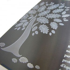 award plaque - honora - mirror - etch detail